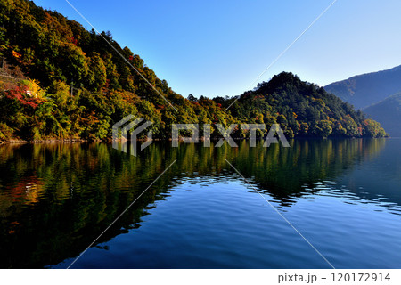 紅葉の奥多摩湖 麦山浮橋 ドラム缶橋からの風景 紅葉の奥多摩湖 麦山浮橋 ドラム缶橋からの風景 120172914