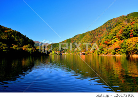 紅葉の奥多摩湖 麦山浮橋 ドラム缶橋からの風景 120172916