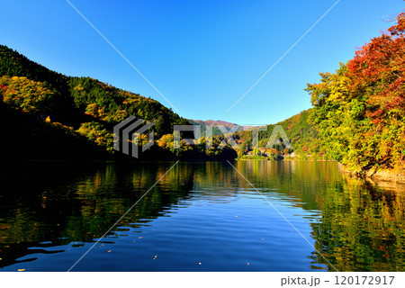 紅葉の奥多摩湖 麦山浮橋 ドラム缶橋からの風景 紅葉の奥多摩湖 麦山浮橋 ドラム缶橋からの風景 120172917