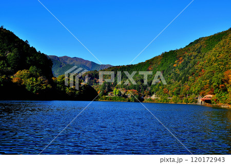紅葉の奥多摩湖 麦山浮橋 ドラム缶橋からの風景 紅葉の奥多摩湖 麦山浮橋 ドラム缶橋からの風景 120172943