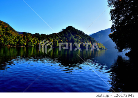 紅葉の奥多摩湖 麦山浮橋 ドラム缶橋からの風景 紅葉の奥多摩湖 麦山浮橋 ドラム缶橋からの風景 120172945