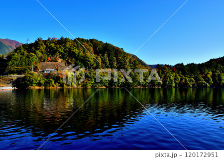 紅葉の奥多摩湖 麦山浮橋 ドラム缶橋からの風景 紅葉の奥多摩湖 麦山浮橋 ドラム缶橋からの風景 120172951