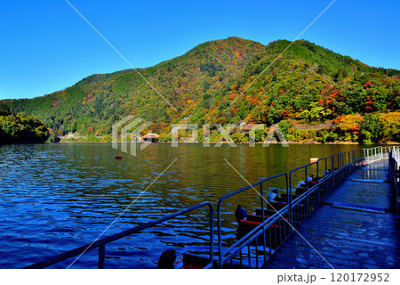 紅葉の奥多摩湖 麦山浮橋 ドラム缶橋からの風景 120172952