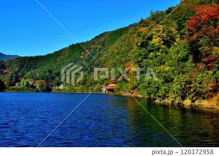 紅葉の奥多摩湖 麦山浮橋 ドラム缶橋からの風景 120172958