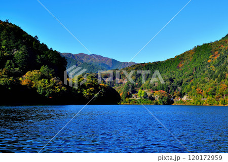 紅葉の奥多摩湖 麦山浮橋 ドラム缶橋からの風景 120172959