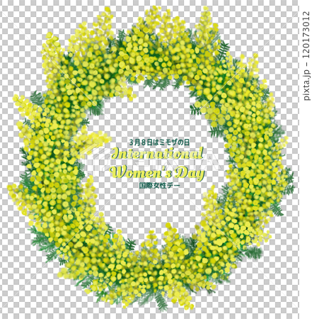 Mimosa Day 120173012