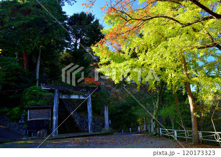 紅葉の奥多摩湖小河内神社　鳥居の風景 120173323