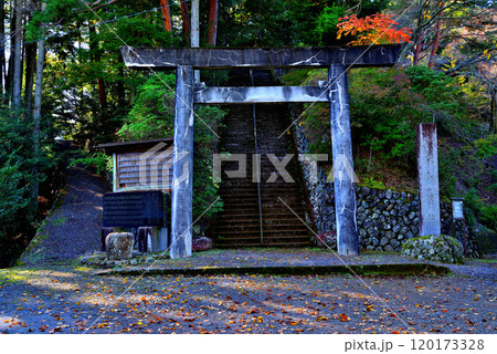 紅葉の奥多摩湖小河内神社 鳥居の風景 紅葉の奥多摩湖小河内神社 鳥居の風景 120173328