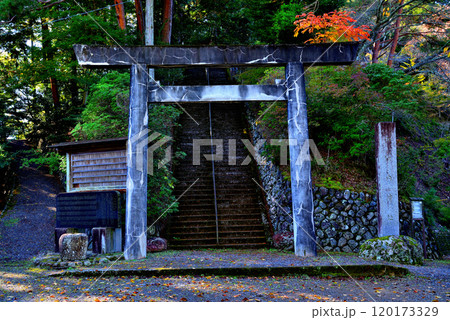 紅葉の奥多摩湖小河内神社　鳥居の風景 120173329