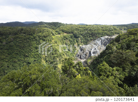 熱帯雨林の森 120173641