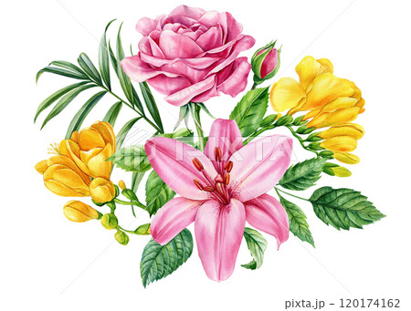 Blooming watercolor flower composition. Pink roses, lilies and leaves. Elegant floral clipart for invitations, art decor Blooming watercolor flower composition. Pink roses, lilies and leaves. Elegant floral clipart for invitations, art decor 120174162