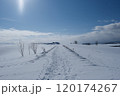 雪に覆われた道路に残る足跡 120174267