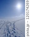 雪に覆われた大地、太陽に向かう足跡 120174269