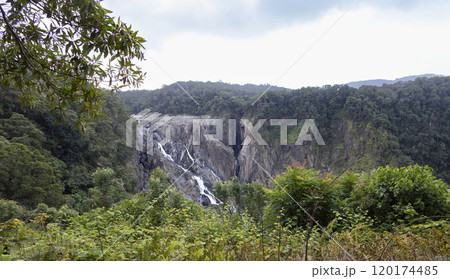 キュランダにあるバロン滝 120174485