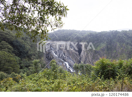 キュランダにあるバロン滝 120174486