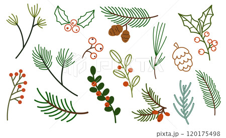 2447_christmas_leaf 120175498
