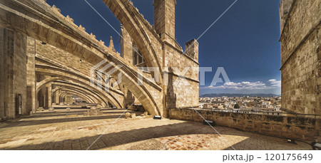 Palma Cathedral, Spain Palma Cathedral, Spain 120175649