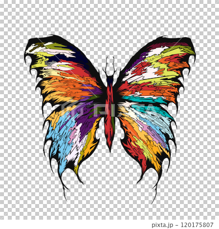 Dark butterfly design, isolated insect, Multicoloured pattern, butterfly concept 120175807