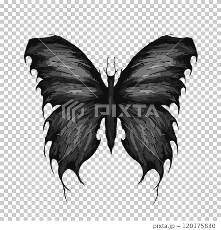 fantasy butterflies, black and white, digital, geometric shapes 120175830