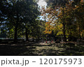 紅葉のある公園 120175973