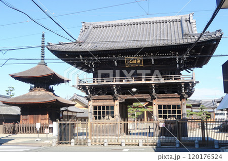 荒子観音寺山門と多宝塔 120176524