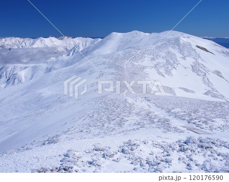 谷川連峰・平標山から望む冬の仙ノ倉岳 谷川連峰・平標山から望む冬の仙ノ倉岳 120176590