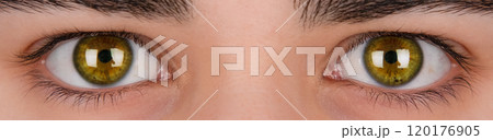 Female brown eyes close up banner 120176905