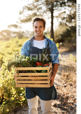 Producing healthy food in a sustainable way. Shot of a young man holding a crate full of freshly picked produce on a farm. Producing healthy food in a sustainable way. Shot of a young man holding a crate full of freshly picked produce on a farm. 120177048