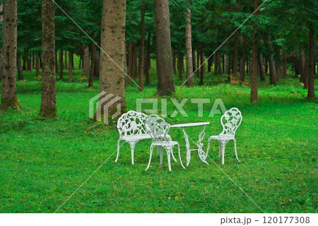 開田高原 ドイツトウヒの森にある白いテーブルとイス 開田高原 ドイツトウヒの森にある白いテーブルとイス 120177308