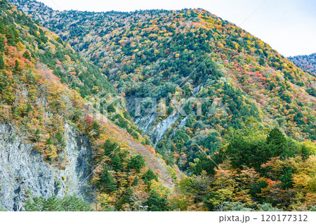 紅葉に囲まれた山の風景　＠長野県沢渡の秋 120177312