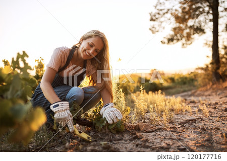 Theres nothing like a few hours of dirt therapy. Shot of a young woman tending to the crops on a farm. 120177716