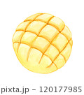 メロンパン【手描き水彩画】 120177985
