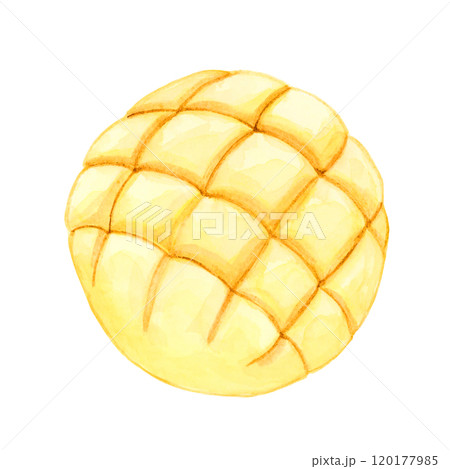 メロンパン【手描き水彩画】 120177985