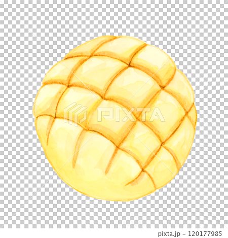 メロンパン【手描き水彩画】のイラスト素材 [120177985] - PIXTA