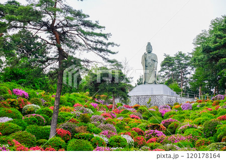 東京都　青梅市　春　塩船観音寺　 120178164