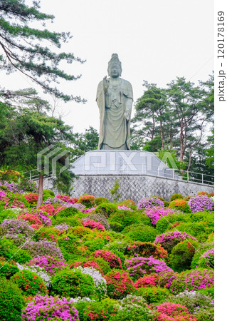 東京都　青梅市　春　塩船観音寺　 120178169