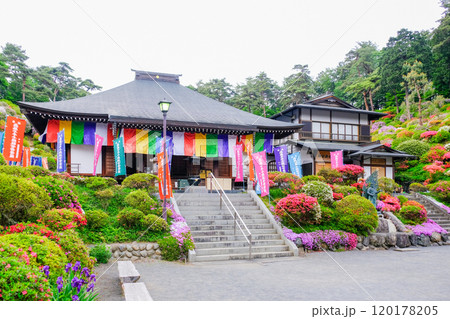 東京都 青梅市 春 塩船観音寺 東京都 青梅市 春 塩船観音寺 120178205