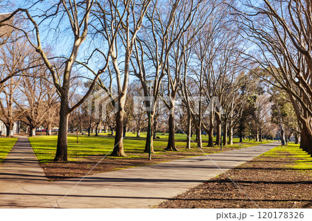 Carlton Gardens in Melbourne Australia 120178326