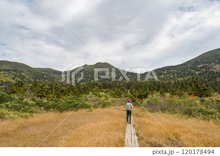 秋の八甲田 井戸岳と木道を歩く登山者 秋の八甲田 井戸岳と木道を歩く登山者 120178494