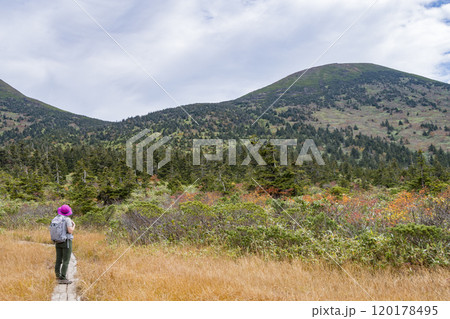 秋の八甲田 大岳と木道を歩く登山者 秋の八甲田 大岳と木道を歩く登山者 120178495