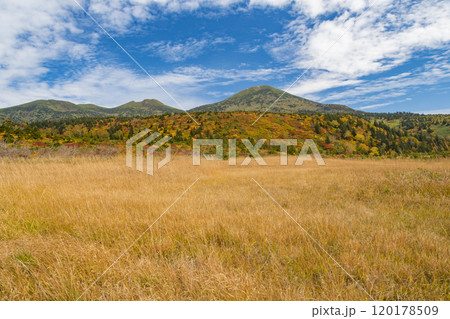 秋の八甲田 毛無岱から望む紅葉の大岳 井戸岳 秋の八甲田 毛無岱から望む紅葉の大岳 井戸岳 120178509