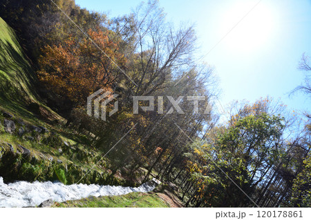紅葉した山と青空 <御射鹿池> 紅葉した山と青空 <御射鹿池> 120178861