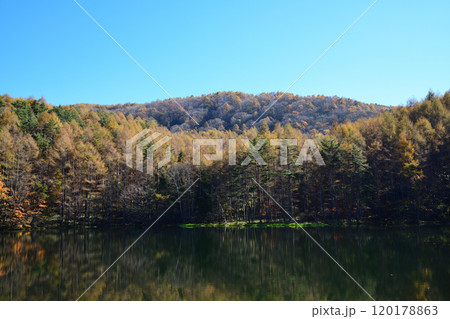 紅葉した山と青空 <御射鹿池> 紅葉した山と青空 <御射鹿池> 120178863