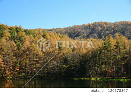 紅葉した山と青空　＜御射鹿池＞ 120178867