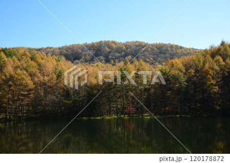 紅葉した山と青空 <御射鹿池> 紅葉した山と青空 <御射鹿池> 120178872