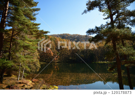 紅葉した山と青空 <御射鹿池> 紅葉した山と青空 <御射鹿池> 120178873