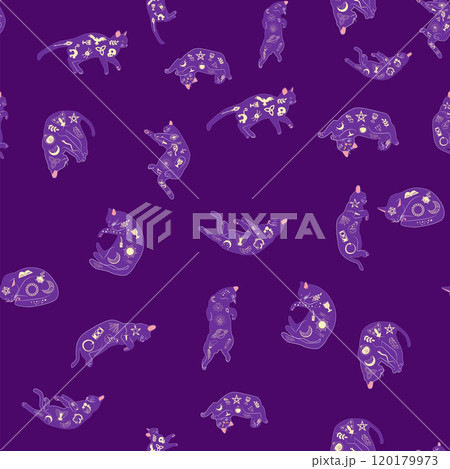 Mystical seamless pattern of cats in boho style, silhouette collection. Witchcraft and magic. Esotericism 120179973