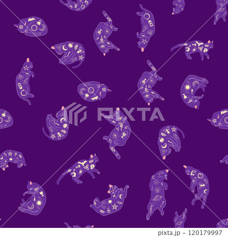 Mystical seamless pattern of cats in boho style, silhouette collection. Witchcraft and magic. Esotericism 120179997