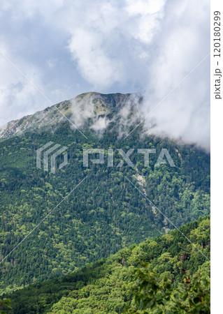 千枚小屋への登山道の見晴台から見る悪沢岳　南アルプス　悪沢岳と荒川岳登山 120180299