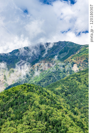 千枚小屋への登山道の見晴台から見る悪沢岳　南アルプス　悪沢岳と荒川岳登山 120180307